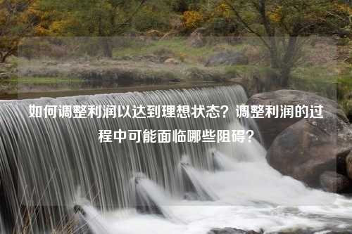 如何调整利润以达到理想状态？调整利润的过程中可能面临哪些阻碍？