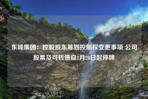 东峰集团：控股股东筹划控制权变更事项 公司股票及可转债自1月20日起停牌