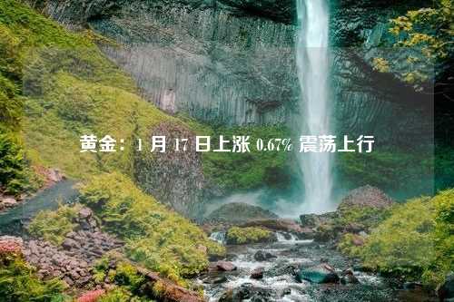 黄金：1 月 17 日上涨 0.67% 震荡上行