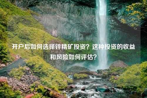 开户后如何选择锌精矿投资？这种投资的收益和风险如何评估？