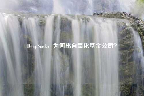 DeepSeek，为何出自量化基金公司？